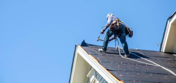Best Emergency Roof Repair  in Rector, AR